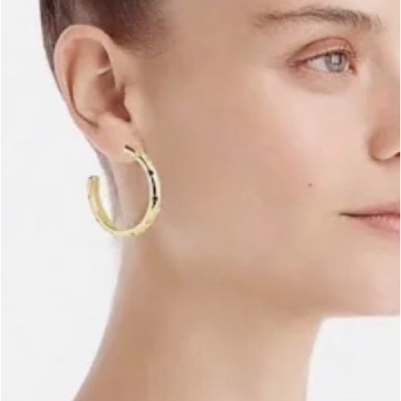 Alison Lou Jewelry - Alison Lou J. Crew Gold Tone and Crystal Hoop Earrings